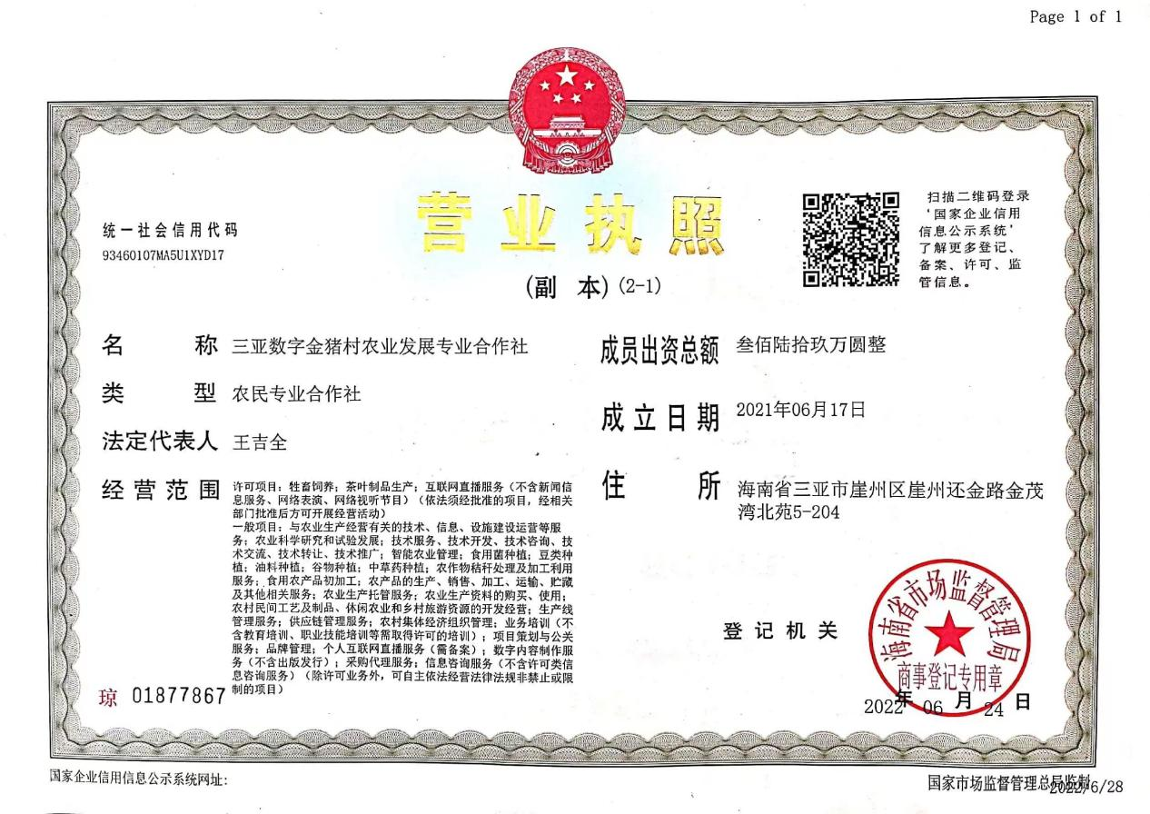 1665581259_438807.png